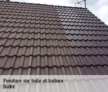 Peinture sur tuile et toiture Indre 