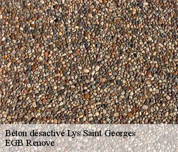 Béton désactivé  lys-saint-georges-36230 EGB Renove