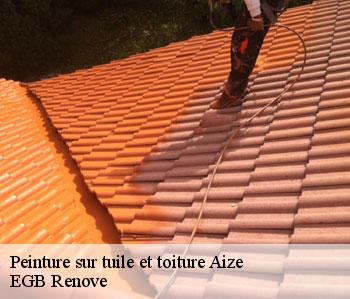 Peinture sur tuile et toiture  aize-36150 EGB Renove