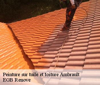 Peinture sur tuile et toiture  ambrault-36120 EGB Renove