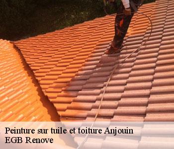 Peinture sur tuile et toiture  anjouin-36210 EGB Renove