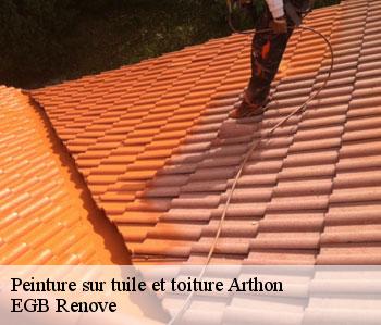 Peinture sur tuile et toiture  arthon-36330 EGB Renove