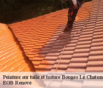 Peinture sur tuile et toiture  bouges-le-chateau-36110 EGB Renove