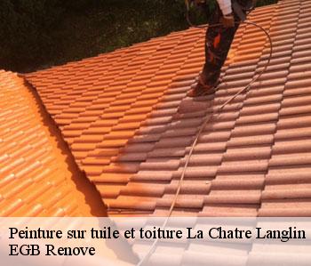 Peinture sur tuile et toiture la-chatre-langlin-36170 EGB Renove