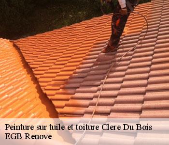 Peinture sur tuile et toiture clere-du-bois-36700 EGB Renove