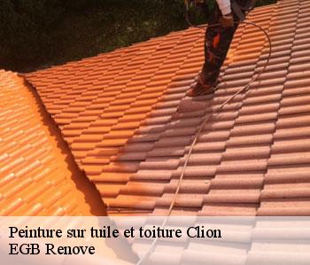 Peinture sur tuile et toiture clion-36700 EGB Renove