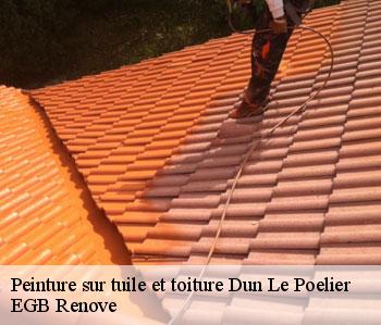 Peinture sur tuile et toiture dun-le-poelier-36210 EGB Renove