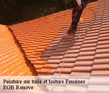 Peinture sur tuile et toiture feusines-36160 EGB Renove