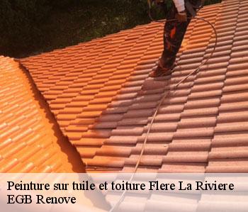 Peinture sur tuile et toiture flere-la-riviere-36700 EGB Renove
