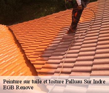 Peinture sur tuile et toiture palluau-sur-indre-36500 EGB Renove