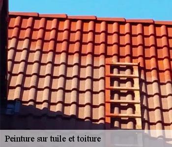 Peinture sur tuile et toiture