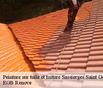 Peinture sur tuile et toiture  sassierges-saint-germain-36120 EGB Renove