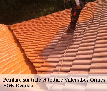 Peinture sur tuile et toiture  villers-les-ormes-36250 EGB Renove