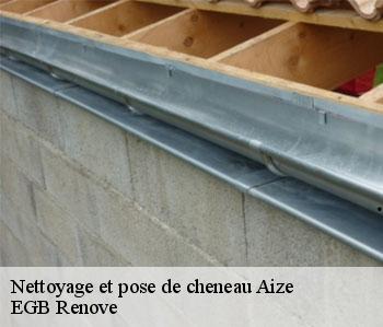 Nettoyage et pose de cheneau  aize-36150 EGB Renove