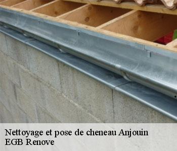 Nettoyage et pose de cheneau anjouin-36210 EGB Renove