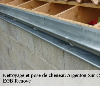 Nettoyage et pose de cheneau argenton-sur-creuse-36200 EGB Renove
