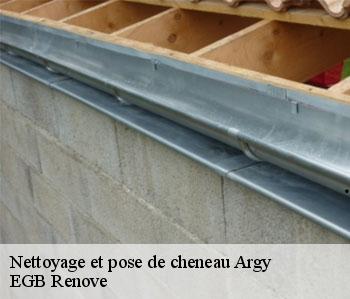 Nettoyage et pose de cheneau  argy-36500 EGB Renove