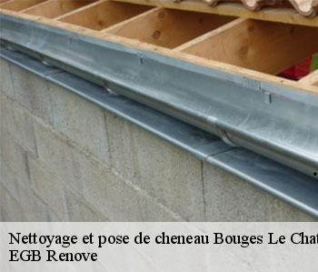 Nettoyage et pose de cheneau  bouges-le-chateau-36110 EGB Renove