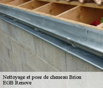 Nettoyage et pose de cheneau  brion-36110 EGB Renove