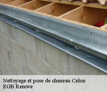 Nettoyage et pose de cheneau celon-36200 EGB Renove