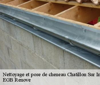Nettoyage et pose de cheneau  chatillon-sur-indre-36700 EGB Renove
