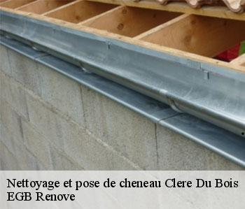 Nettoyage et pose de cheneau  clere-du-bois-36700 EGB Renove