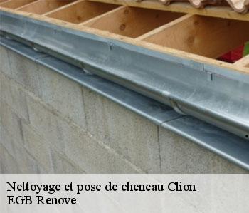 Nettoyage et pose de cheneau clion-36700 EGB Renove