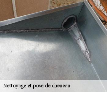 Nettoyage et pose de cheneau