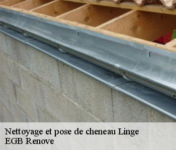 Nettoyage et pose de cheneau linge-36220 EGB Renove