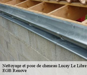 Nettoyage et pose de cheneau  lucay-le-libre-36150 EGB Renove