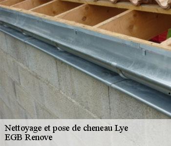 Nettoyage et pose de cheneau lye-36600 EGB Renove