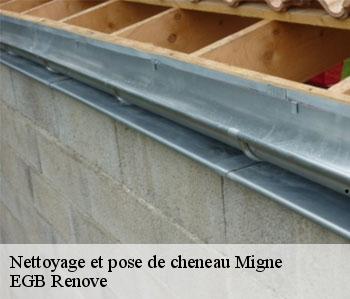 Nettoyage et pose de cheneau  migne-36800 EGB Renove