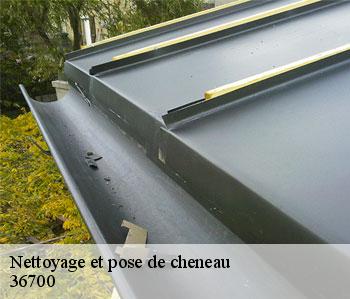 Nettoyage et pose de cheneau 36700