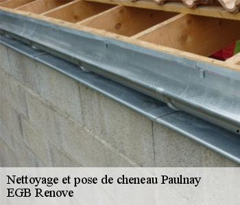 Nettoyage et pose de cheneau  paulnay-36290 EGB Renove