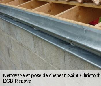 Nettoyage et pose de cheneau  saint-christophe-en-bazelle-36210 EGB Renove