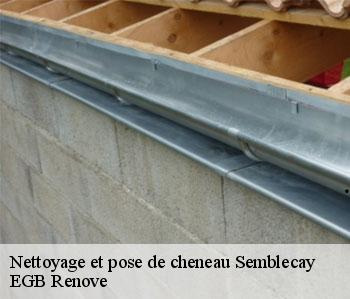 Nettoyage et pose de cheneau  semblecay-36210 EGB Renove