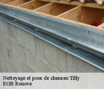 Nettoyage et pose de cheneau tilly-36310 EGB Renove