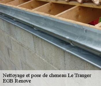 Nettoyage et pose de cheneau le-tranger-36700 EGB Renove