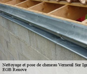 Nettoyage et pose de cheneau verneuil-sur-igneraie-36400 EGB Renove