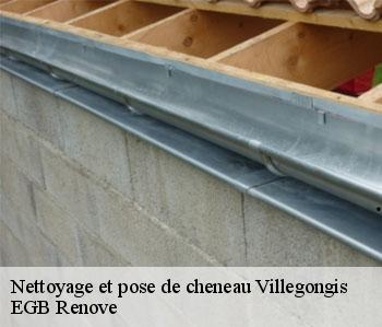 Nettoyage et pose de cheneau villegongis-36110 EGB Renove