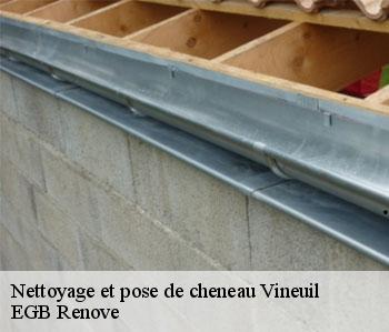 Nettoyage et pose de cheneau  vineuil-36110 EGB Renove