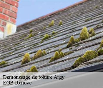 Demoussage de toiture  argy-36500 EGB Renove