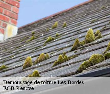 Demoussage de toiture  les-bordes-36100 EGB Renove