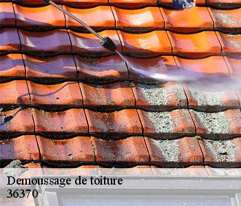 Demoussage de toiture 36370