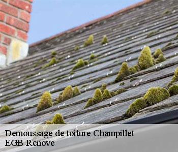 Demoussage de toiture  champillet-36160 EGB Renove