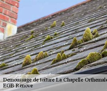 Demoussage de toiture  la-chapelle-orthemale-36500 EGB Renove