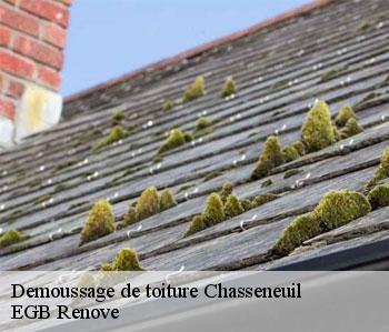 Demoussage de toiture chasseneuil-36800 EGB Renove