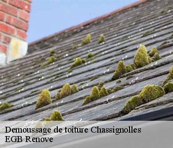 Demoussage de toiture  chassignolles-36400 EGB Renove