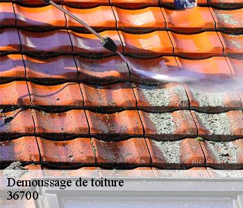 Demoussage de toiture 36700