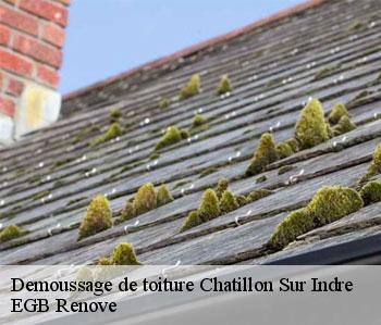 Demoussage de toiture chatillon-sur-indre-36700 EGB Renove